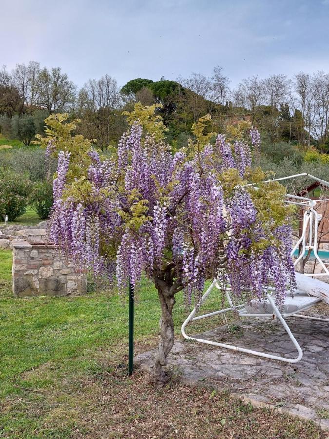 Agriturismo Camera Rosa Todi Eksteriør bilde